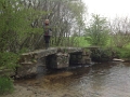 20130501 ST AUBIN-DES-BOIS Clapper Bridge 07
